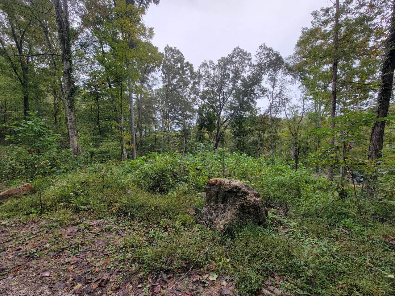 150 Punchs End - Photo 1