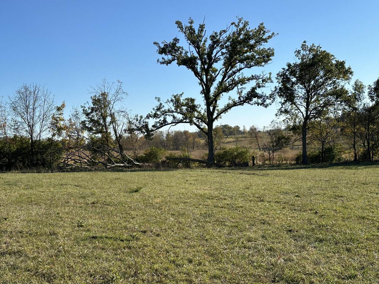 3723 Cynthiana Road - Photo 1