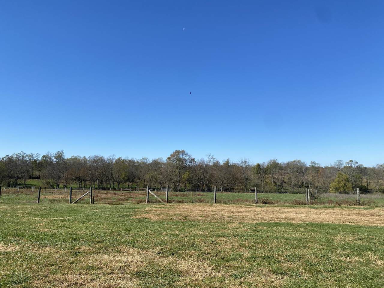 https://bt-photos.global.ssl.fastly.net/lexington/1280_boomver_1_24022496-2.jpg