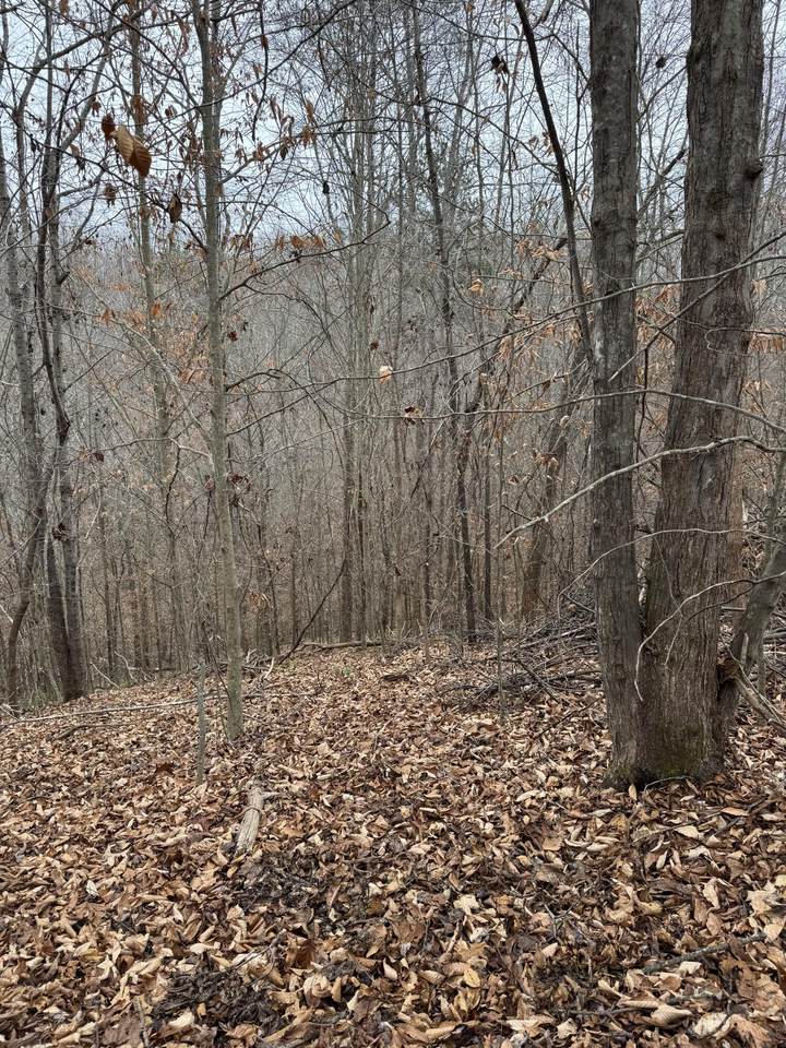 9999 Little Wildcat Creek Road - Photo 1