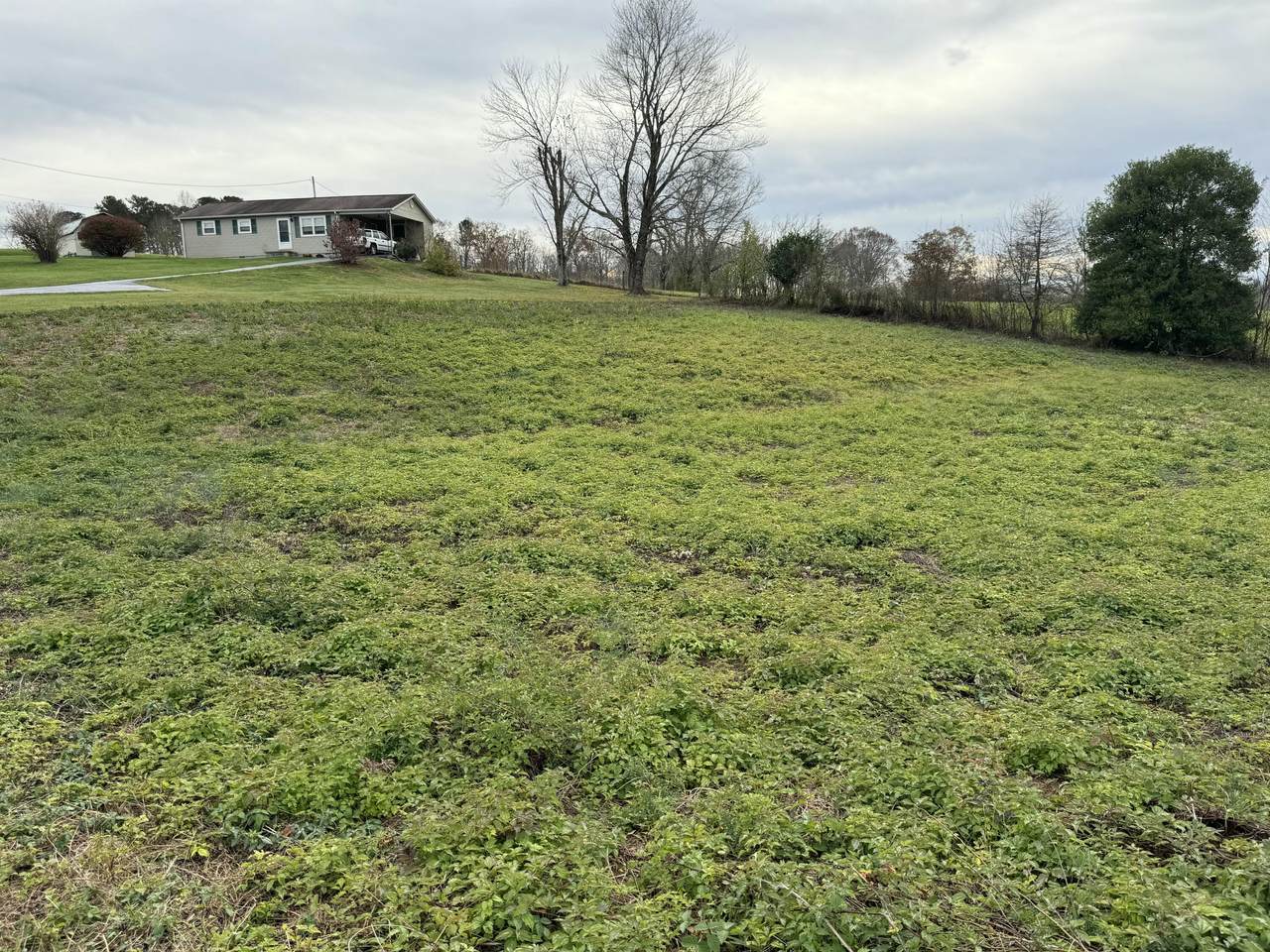 0 Clover Bottom Road - Photo 1
