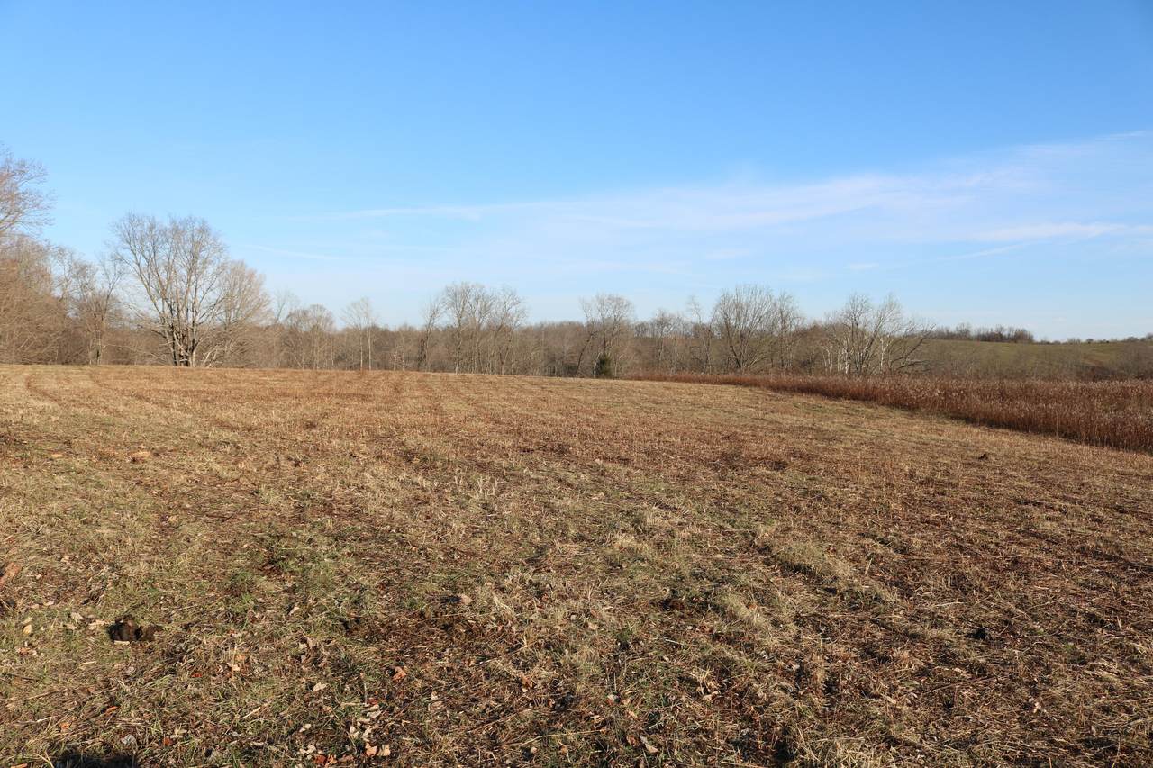 1-B Sharp Road - Photo 1