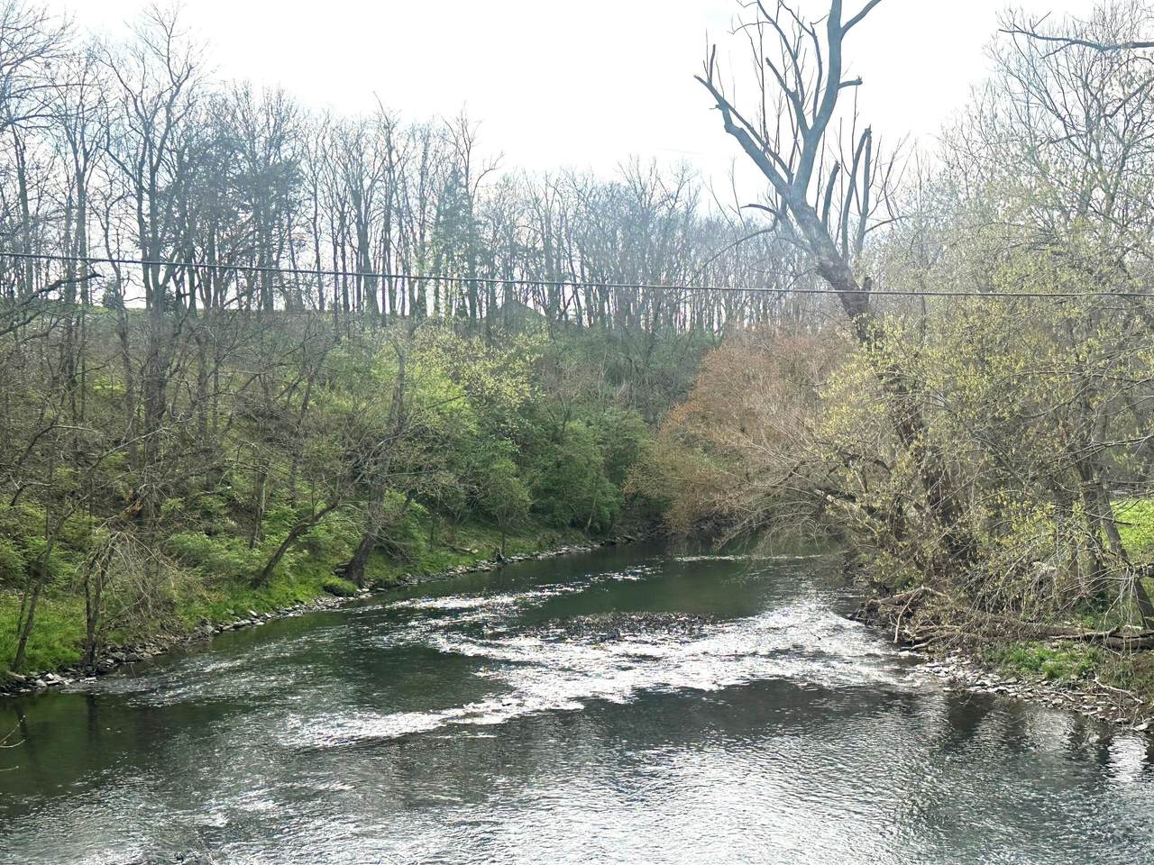 519 Fishers Mill Road - Photo 1