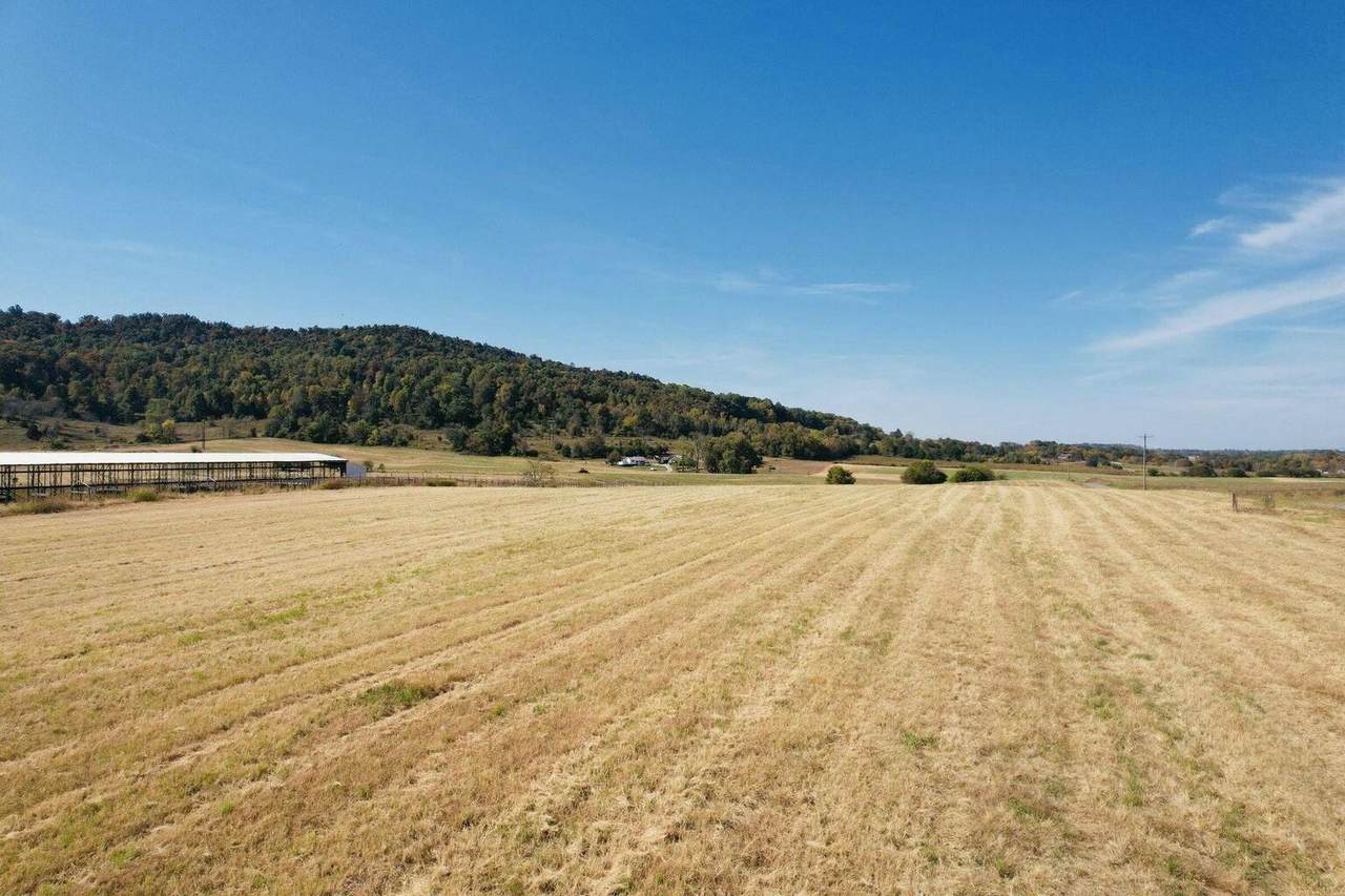 21 Elihu Cabin Hollow Road - Photo 1