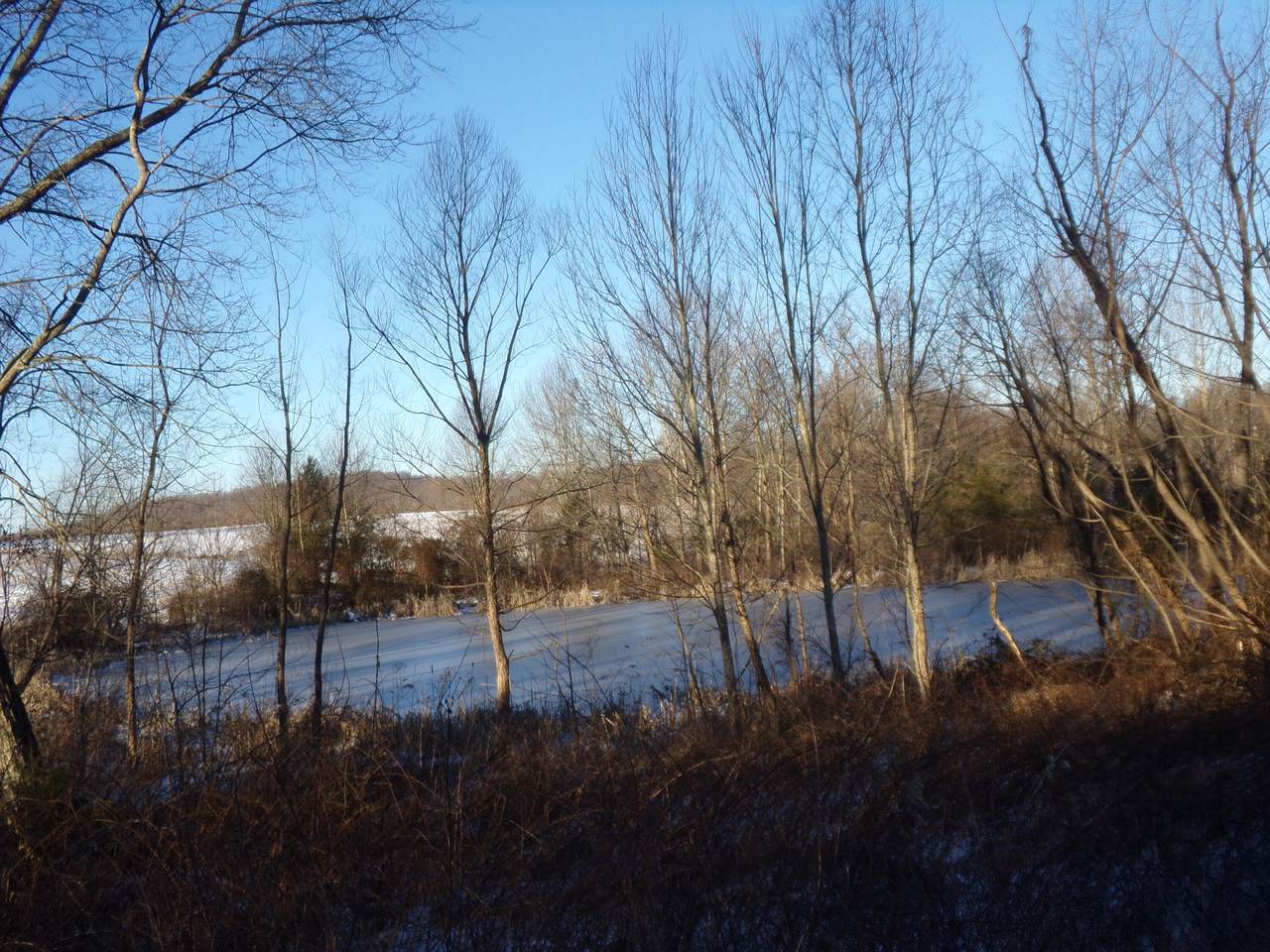 https://bt-photos.global.ssl.fastly.net/lexington/1280_boomver_1_25000648-2.jpg