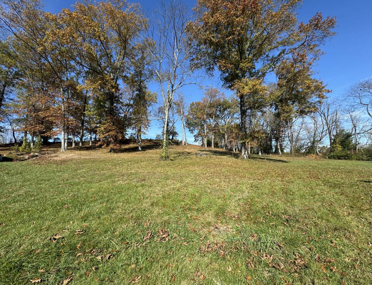 https://bt-photos.global.ssl.fastly.net/lexington/1280_boomver_1_25004026-2.jpg