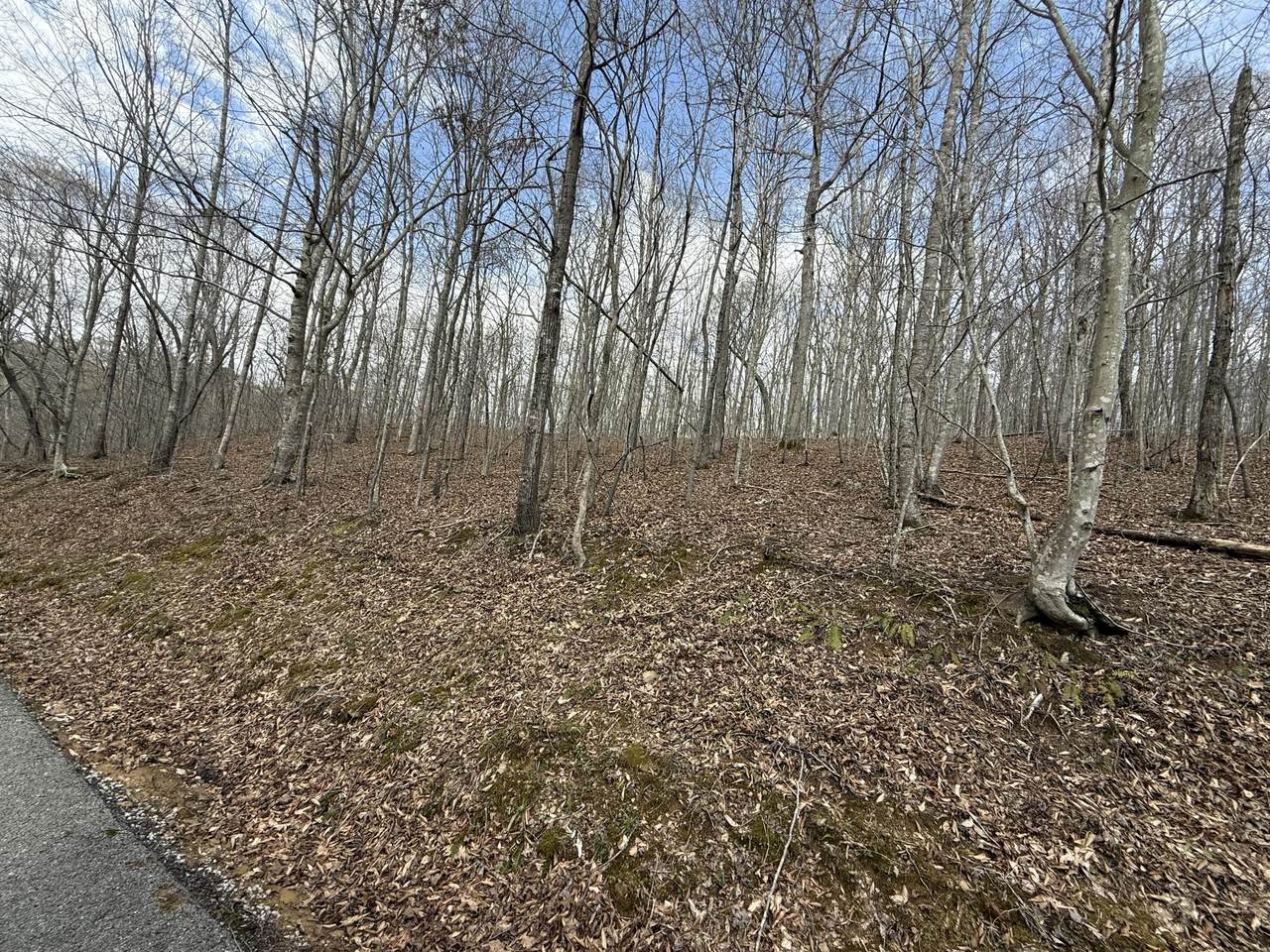 https://bt-photos.global.ssl.fastly.net/lexington/1280_boomver_1_25007531-2.jpg