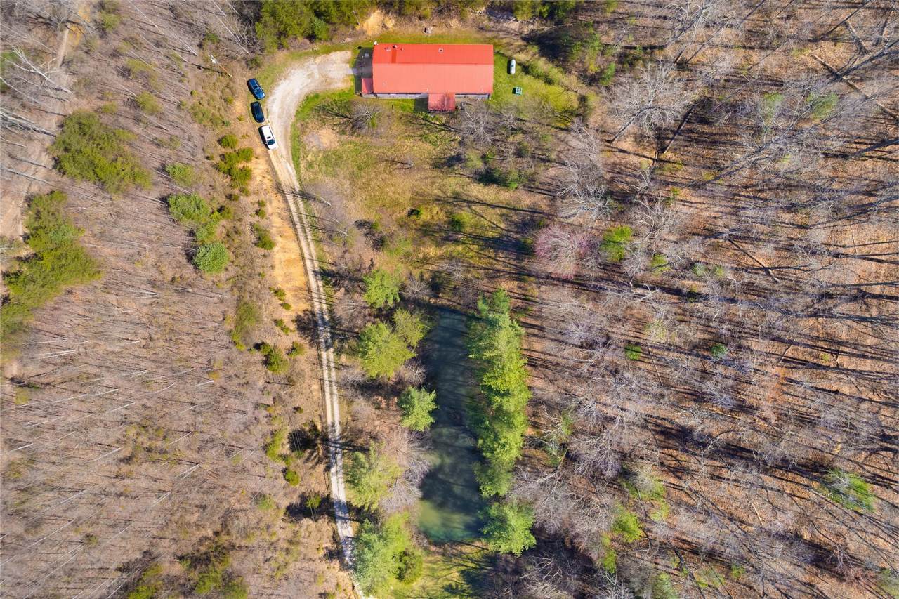 287 Boys in The Holler Trail - Photo 1