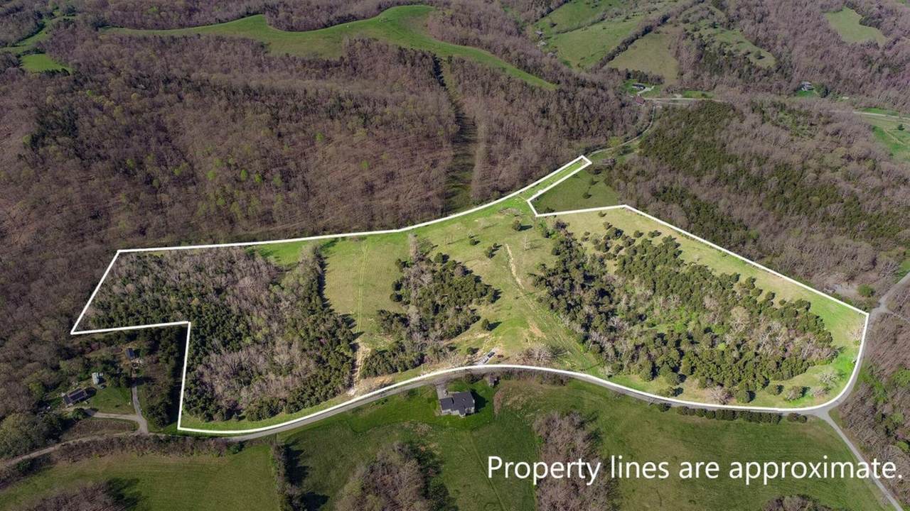 241 Ritchie Road - Photo 1