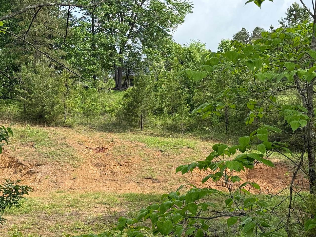 9999 Cherry Grove #Lot 12 Way - Photo 1