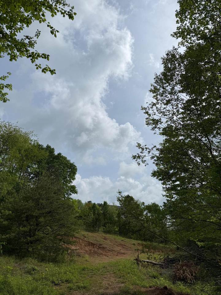 https://bt-photos.global.ssl.fastly.net/lexington/1280_boomver_1_25009064-2.jpg