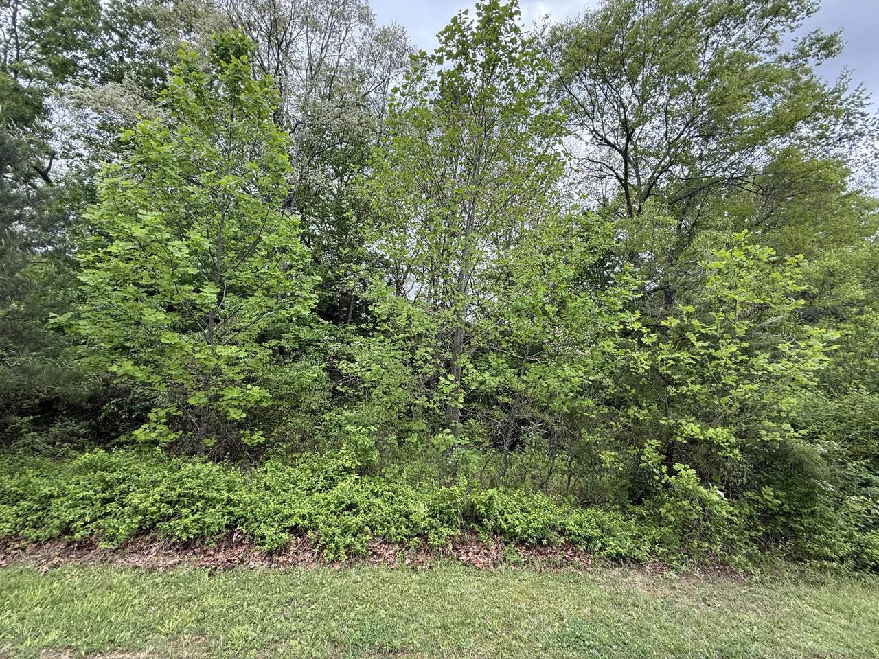 https://bt-photos.global.ssl.fastly.net/lexington/1280_boomver_1_25009388-2.jpg