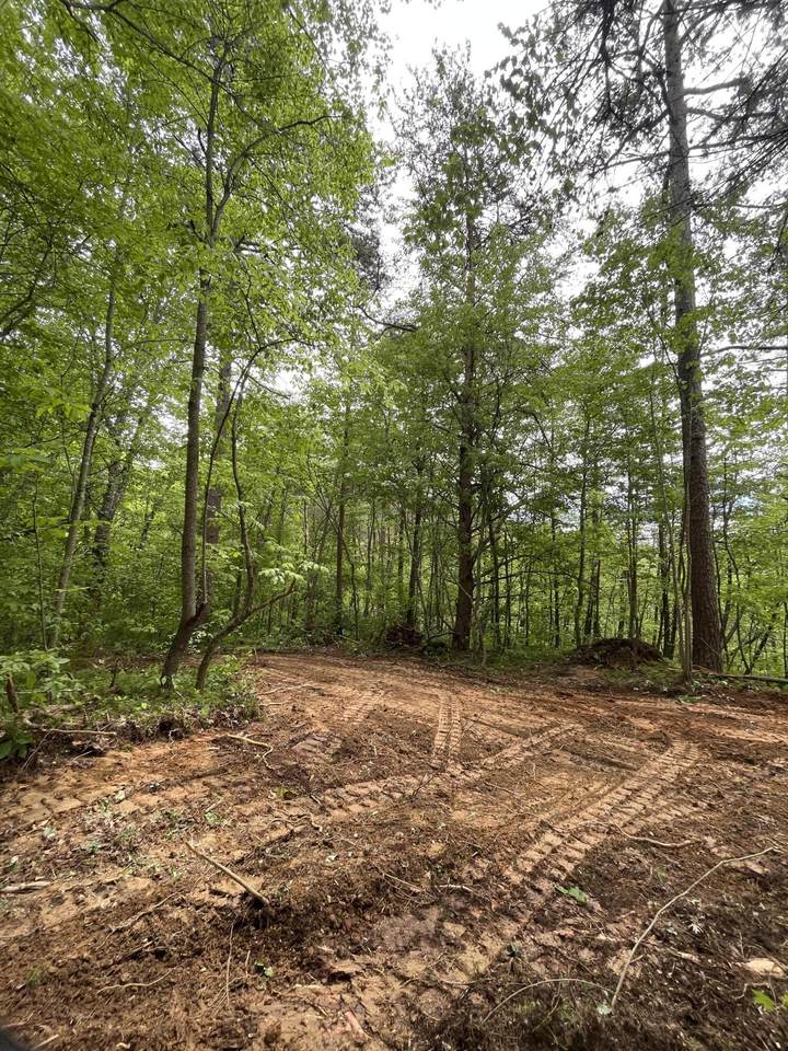 45 Acres Kincaid Road - Photo 1
