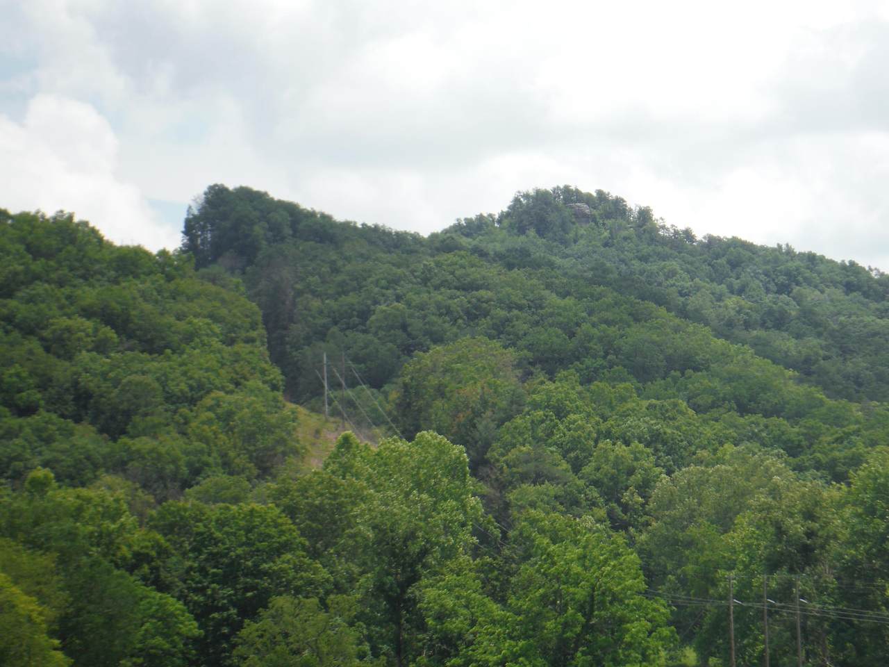 401 Tinsley Eversole Road Road - Photo 1