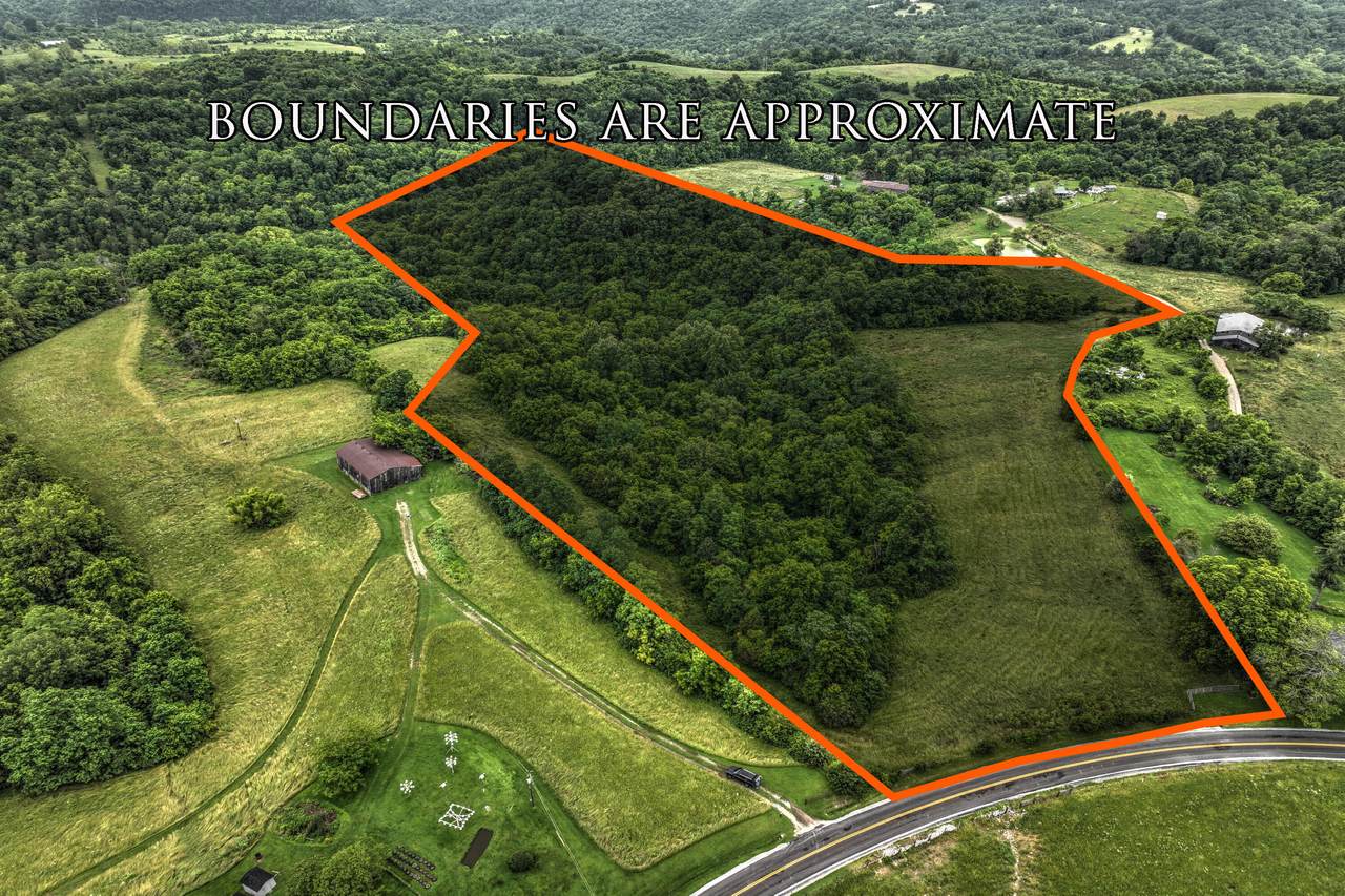 9999 Jacks Creek Road - Photo 1