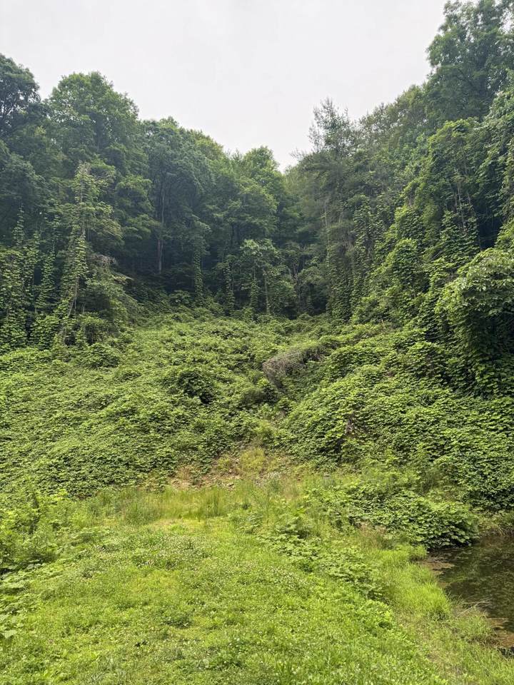 181 Ma And Pa Road - Photo 1