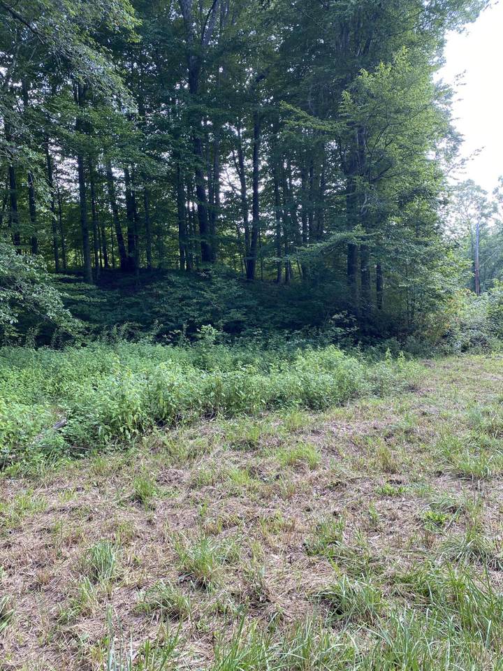 2745 Hopper Creek Road - Photo 1