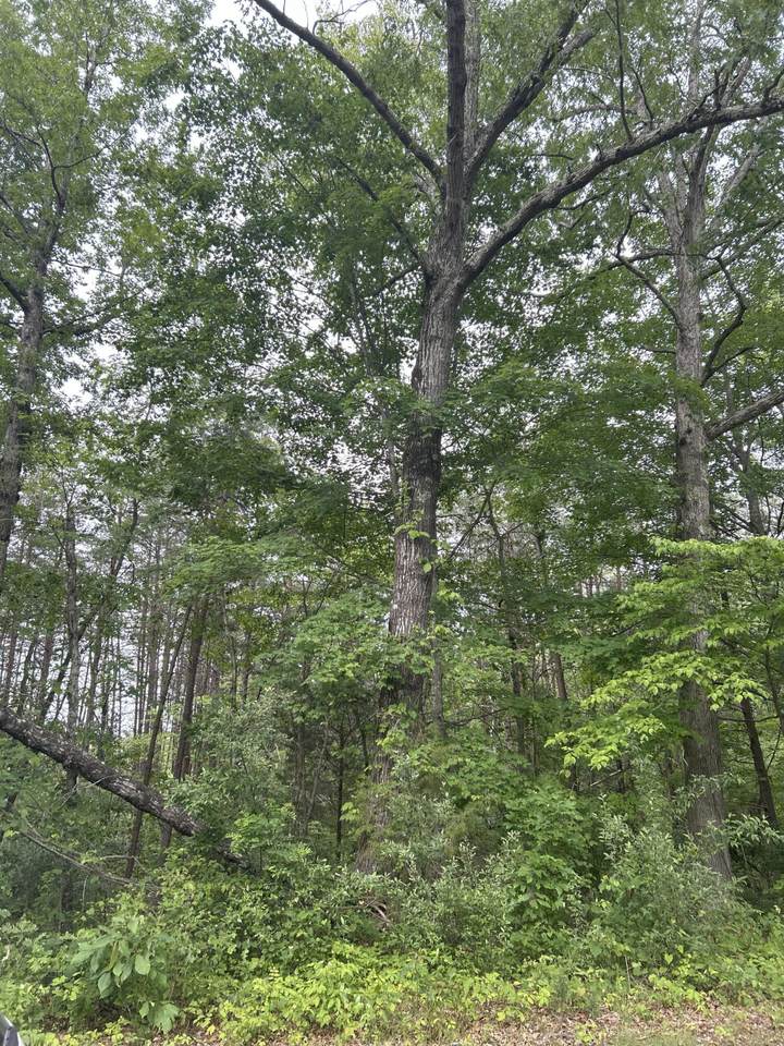 3C Loop Road - Photo 1