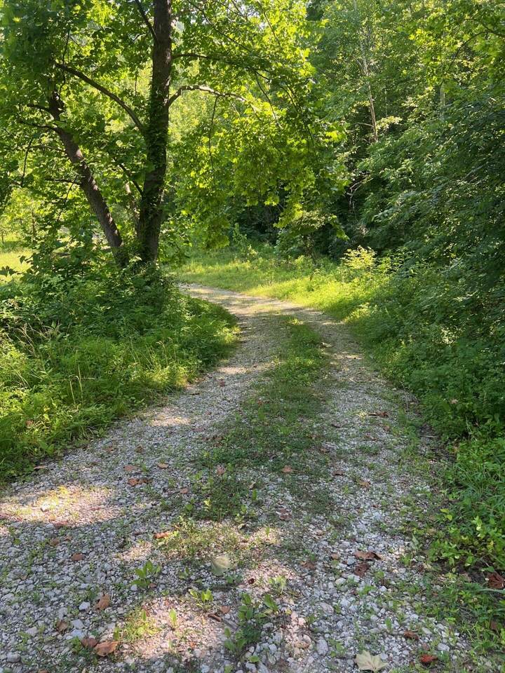 00 Se Licking River Rd - Photo 1