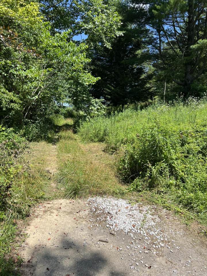 1111 Hwy 421 - Photo 1