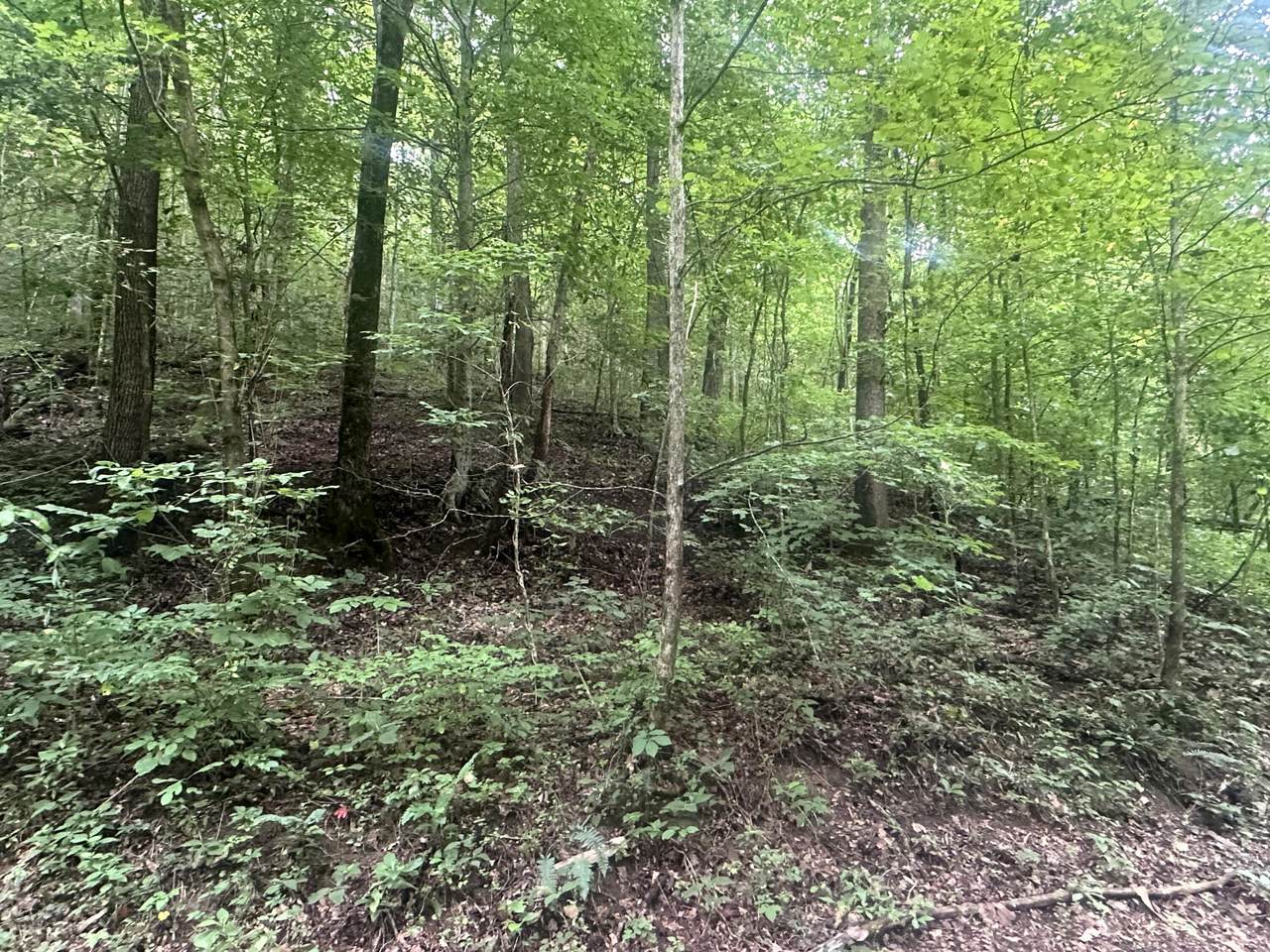 Lot 24 Rock Springs Road - Photo 1