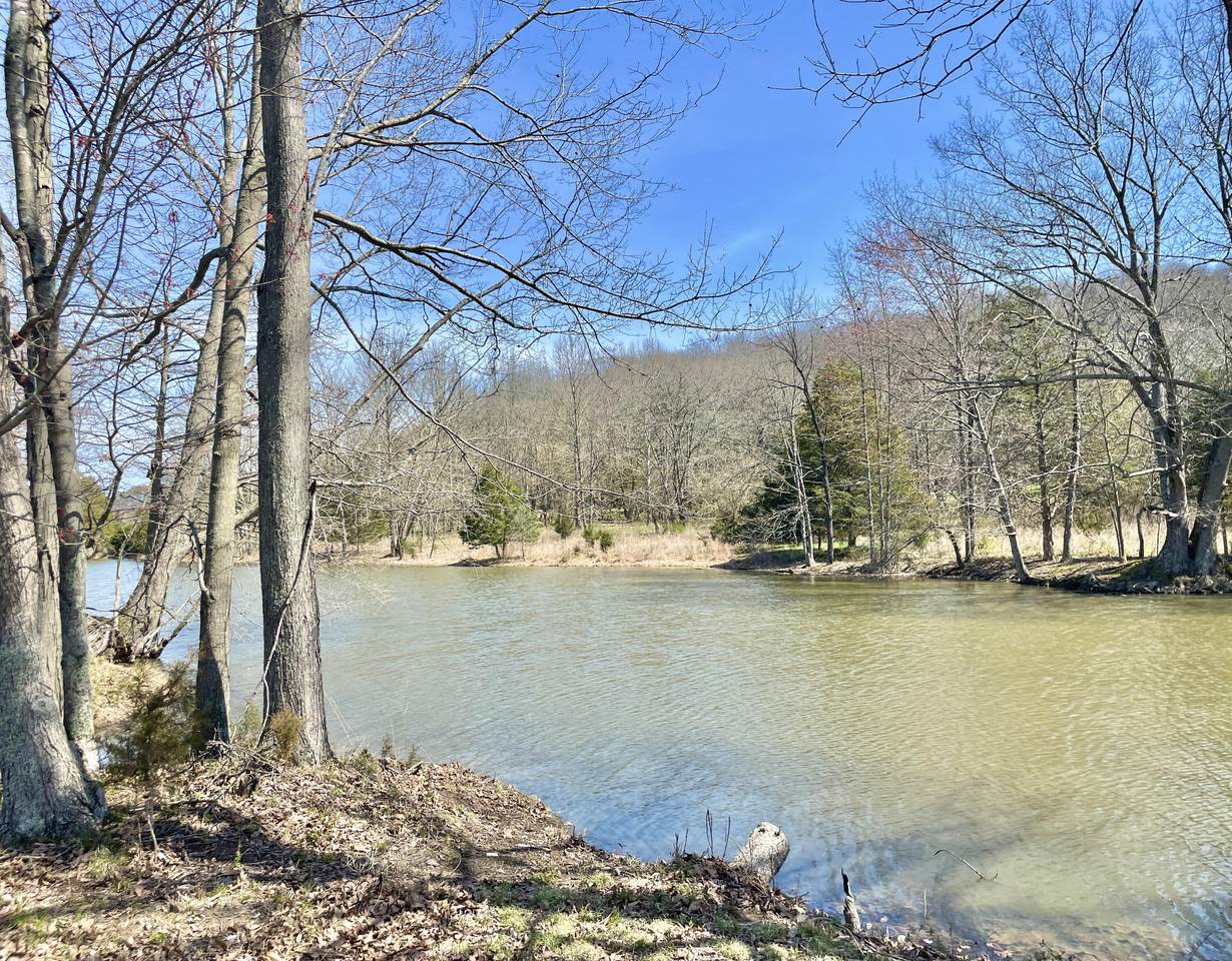 https://bt-photos.global.ssl.fastly.net/lexington/1280_boomver_2_25014826-2.jpg