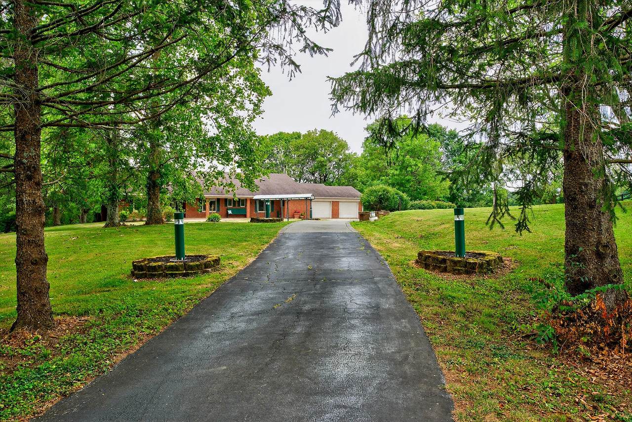 4023 Goggins Lane - Photo 1
