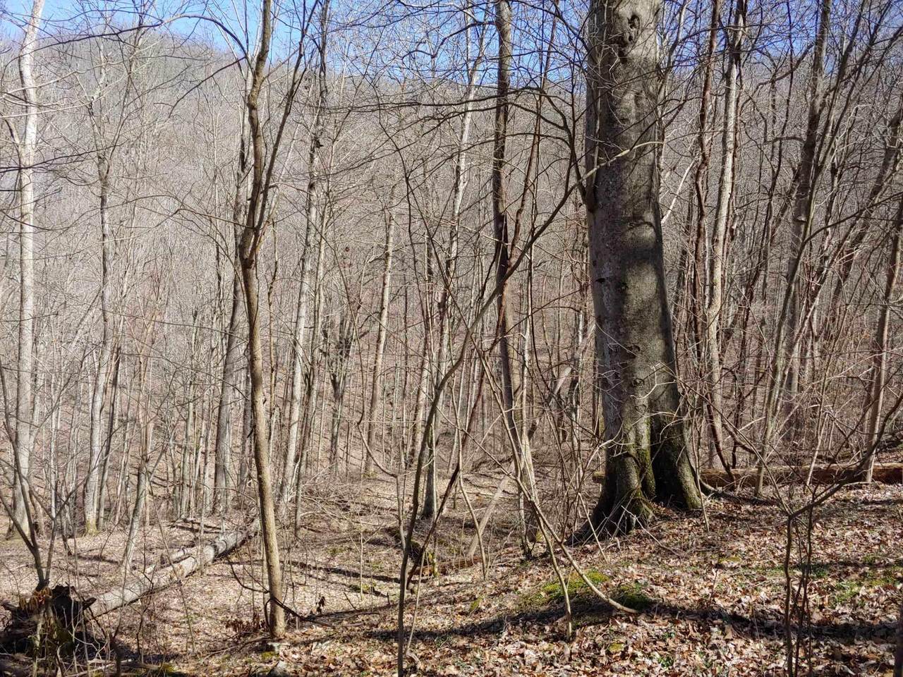 0 Birch Hollow Road - Photo 1