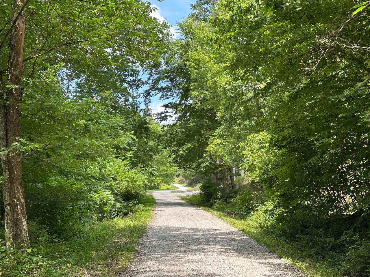 24A Fields Branch Road, Grayson - Photo 1