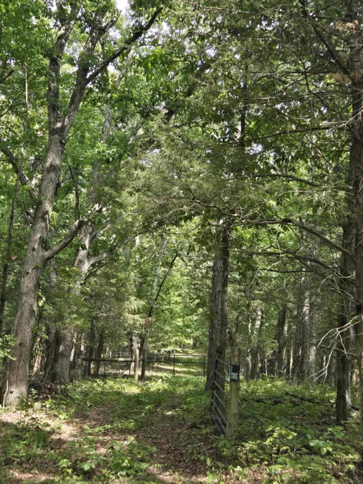 2607 Royalty Ridge Road - Photo 1