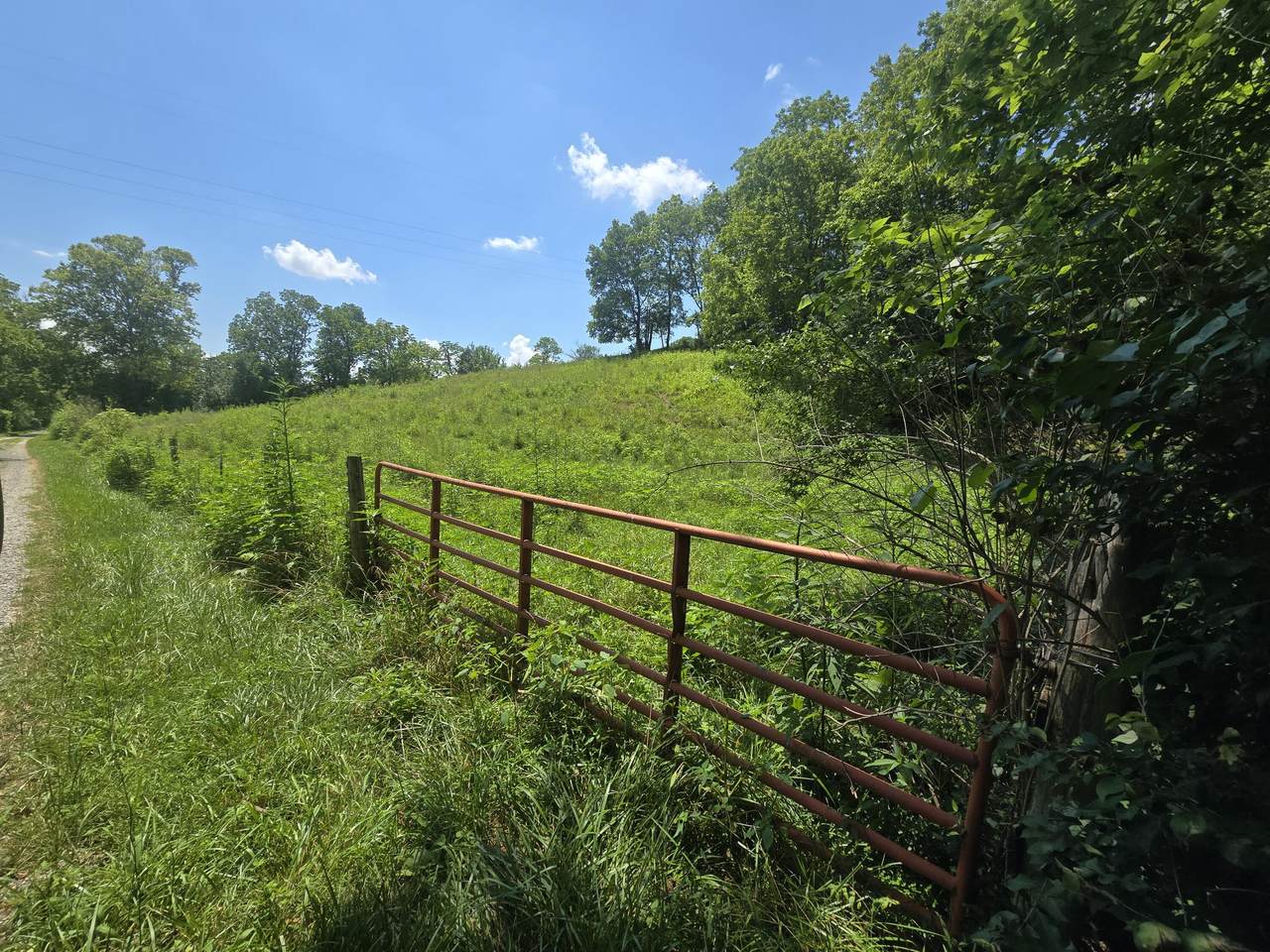 999 Buffalo Road - Photo 1