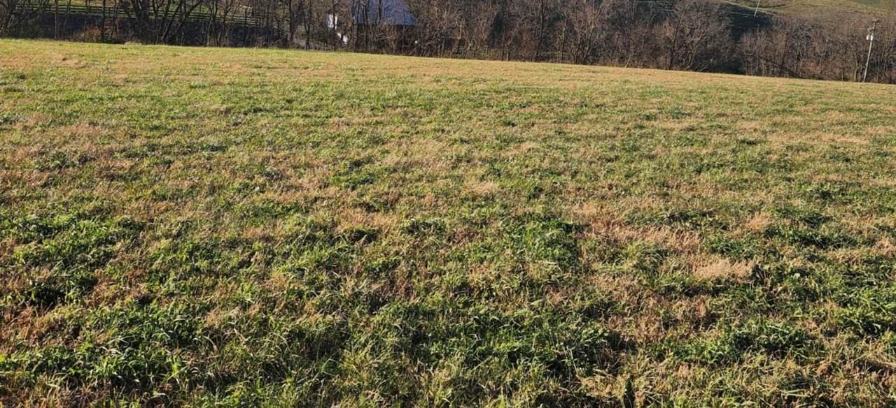7370 Energy Road - Photo 1