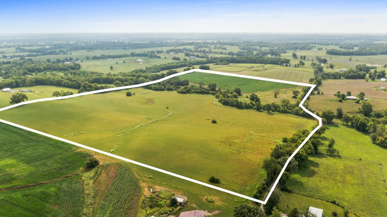 68 acres Grimes Batterton Road - Photo 1