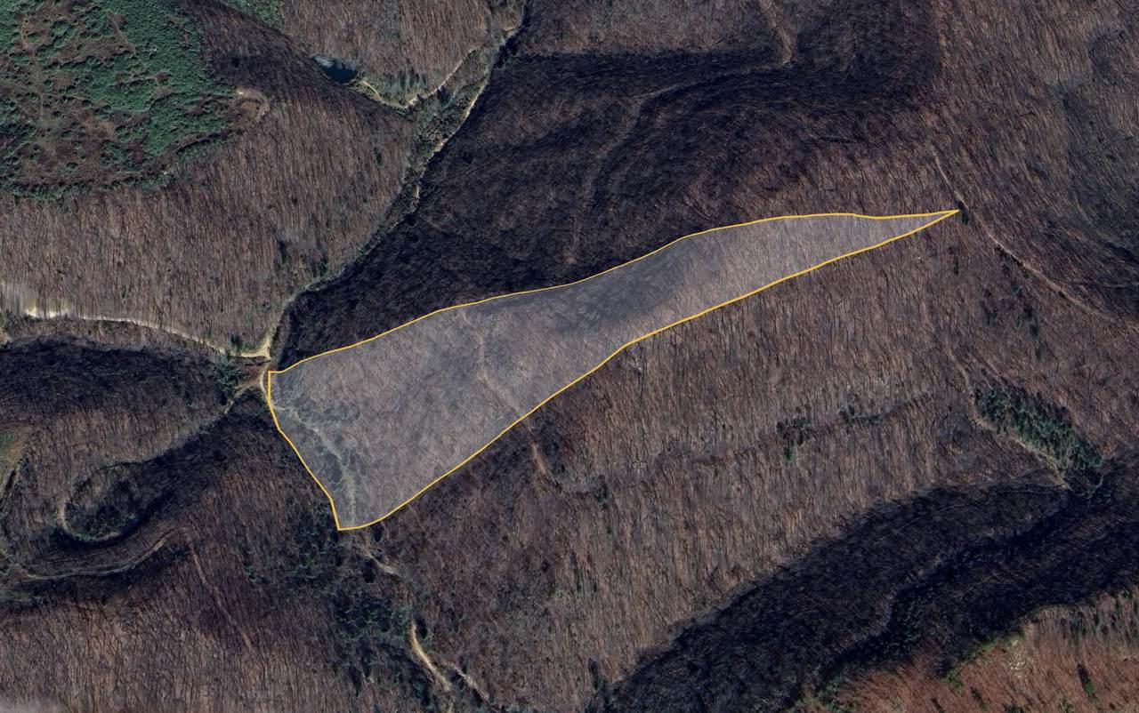 0 Emily Creek Road - Photo 1