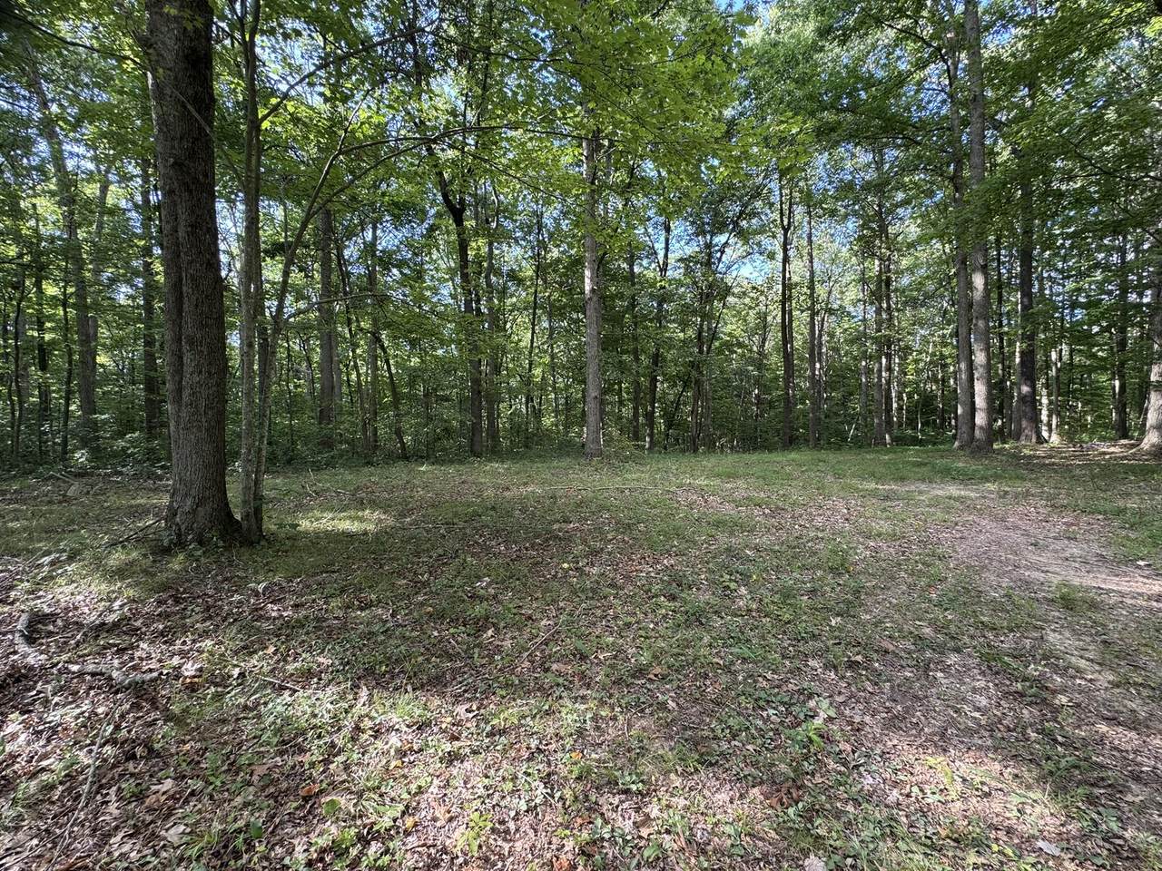 227 Hawk Branch Lane - Photo 1