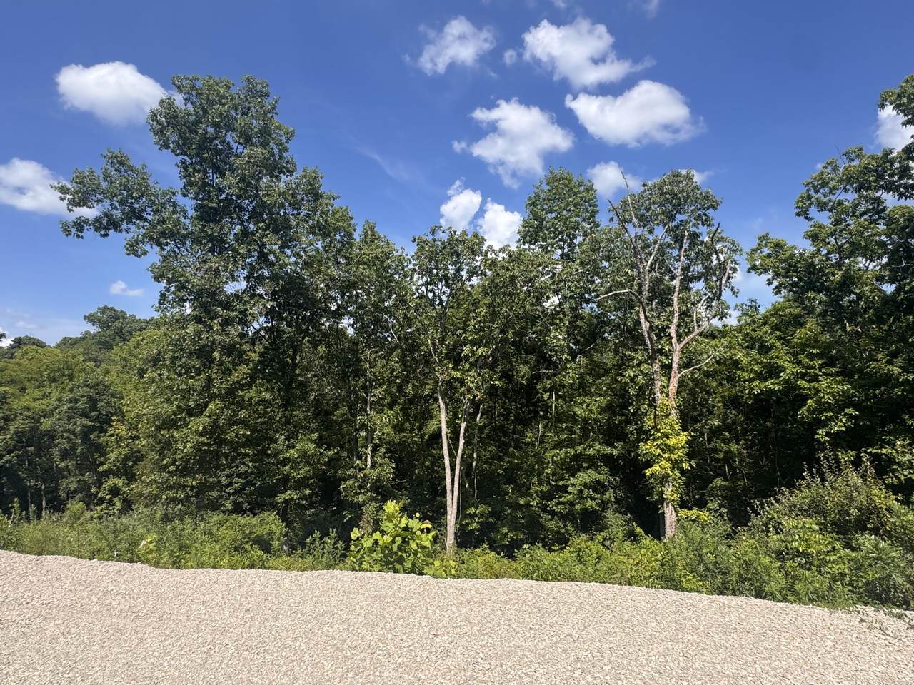 363738 Union Ridge Road - Photo 1