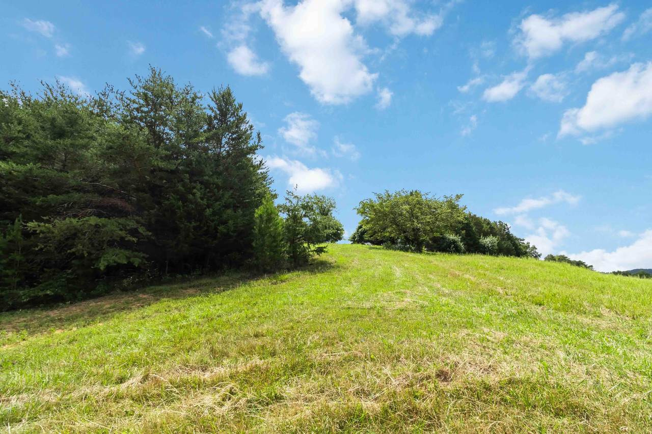 1245 Bridge Hollow Road - Photo 1