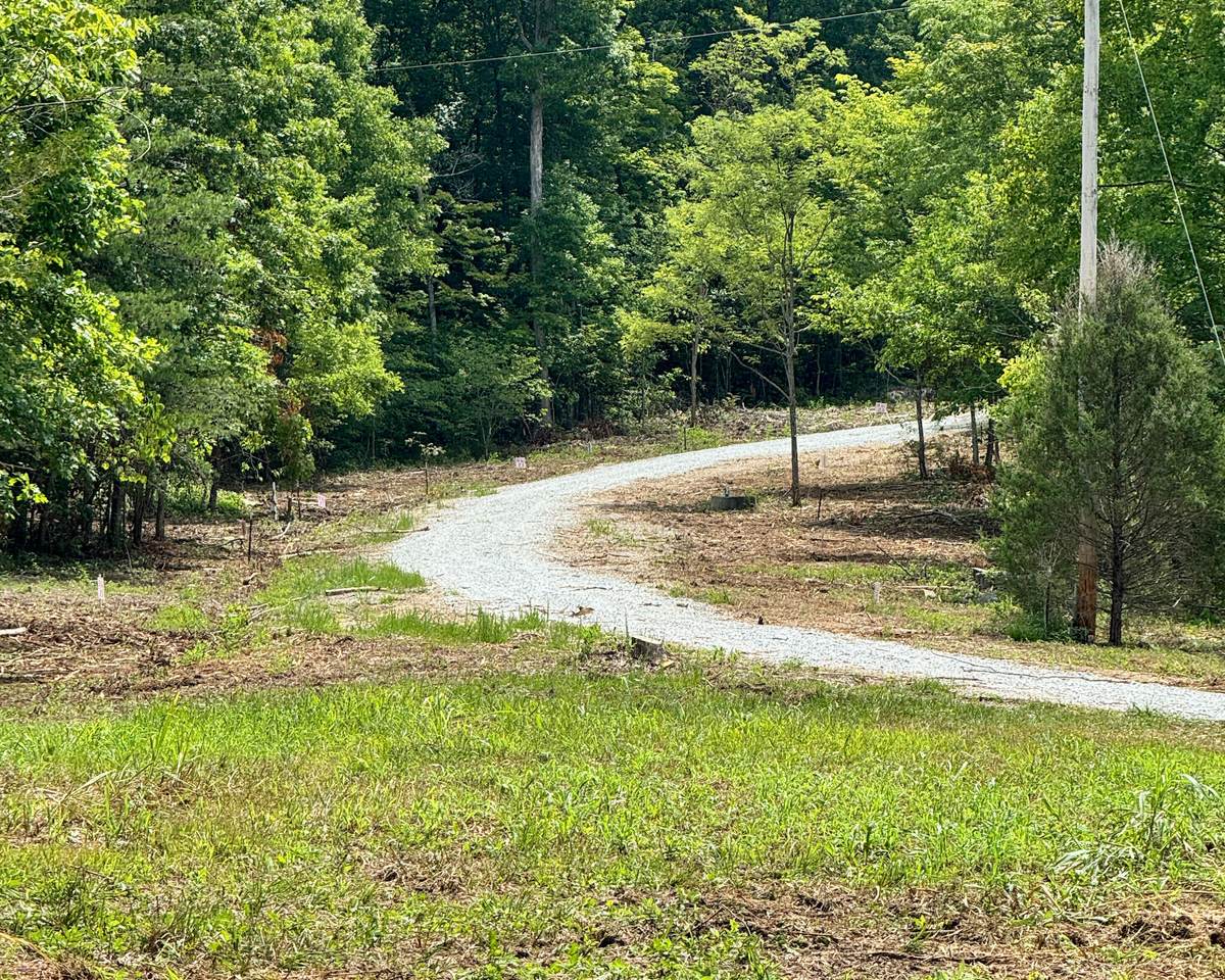 11 Genes Road - Photo 1