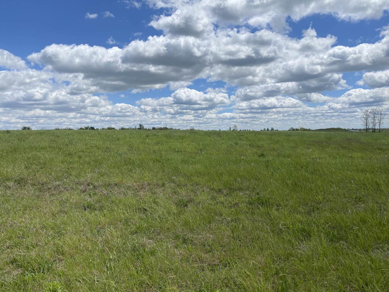 136 Hyde Park Lane - Photo 1