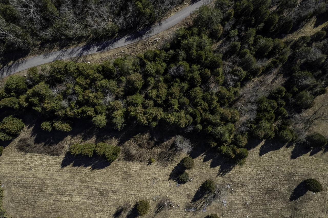 221 Cumberland Ridge Drive - Photo 1