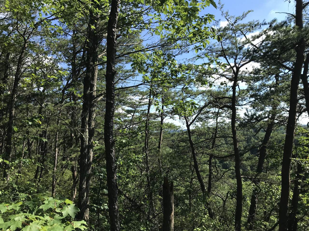 0 South Fork - Photo 1