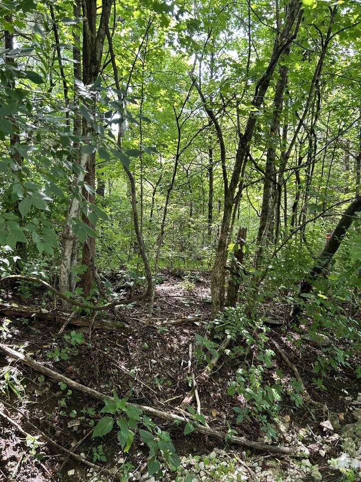 058-00-00-022.00 Shadrick Ferry Road - Photo 1