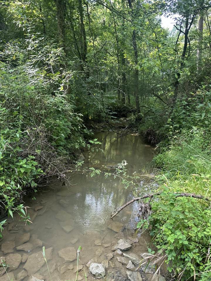 781 Apple Lane - Photo 1