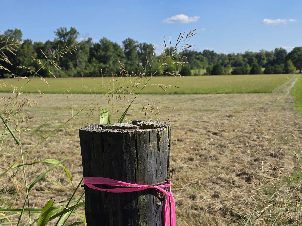 9999 Peggy Flats Road - Photo 1