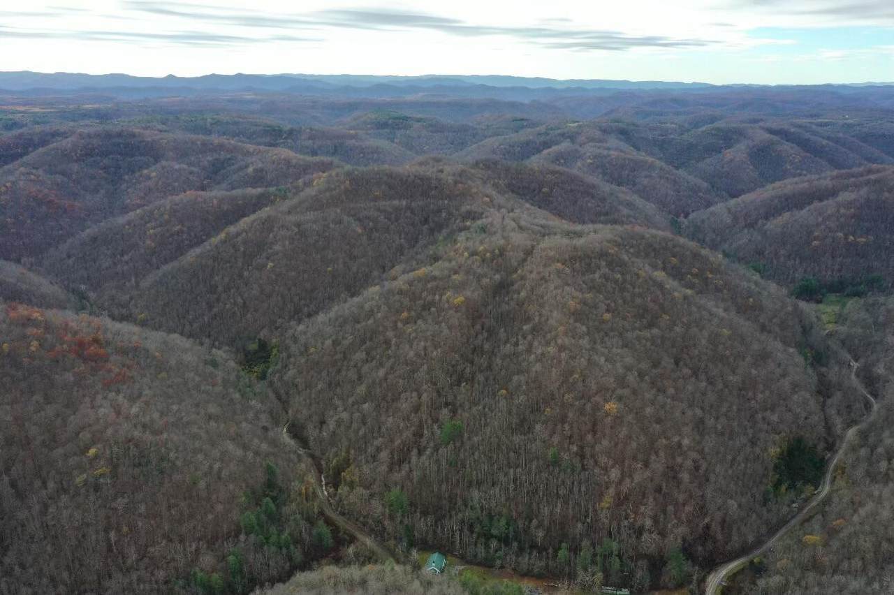 Tract 2 Cow Fork Road - Photo 1