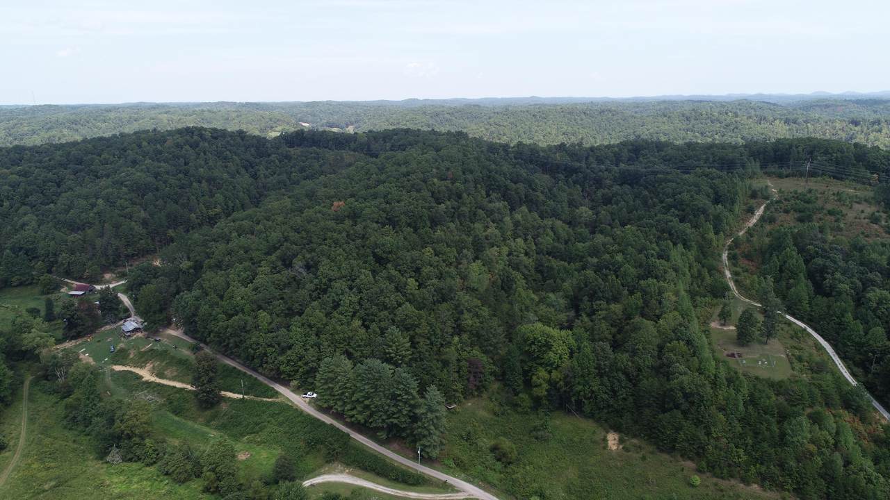 1208 Huckleberry Fork Road - Photo 1