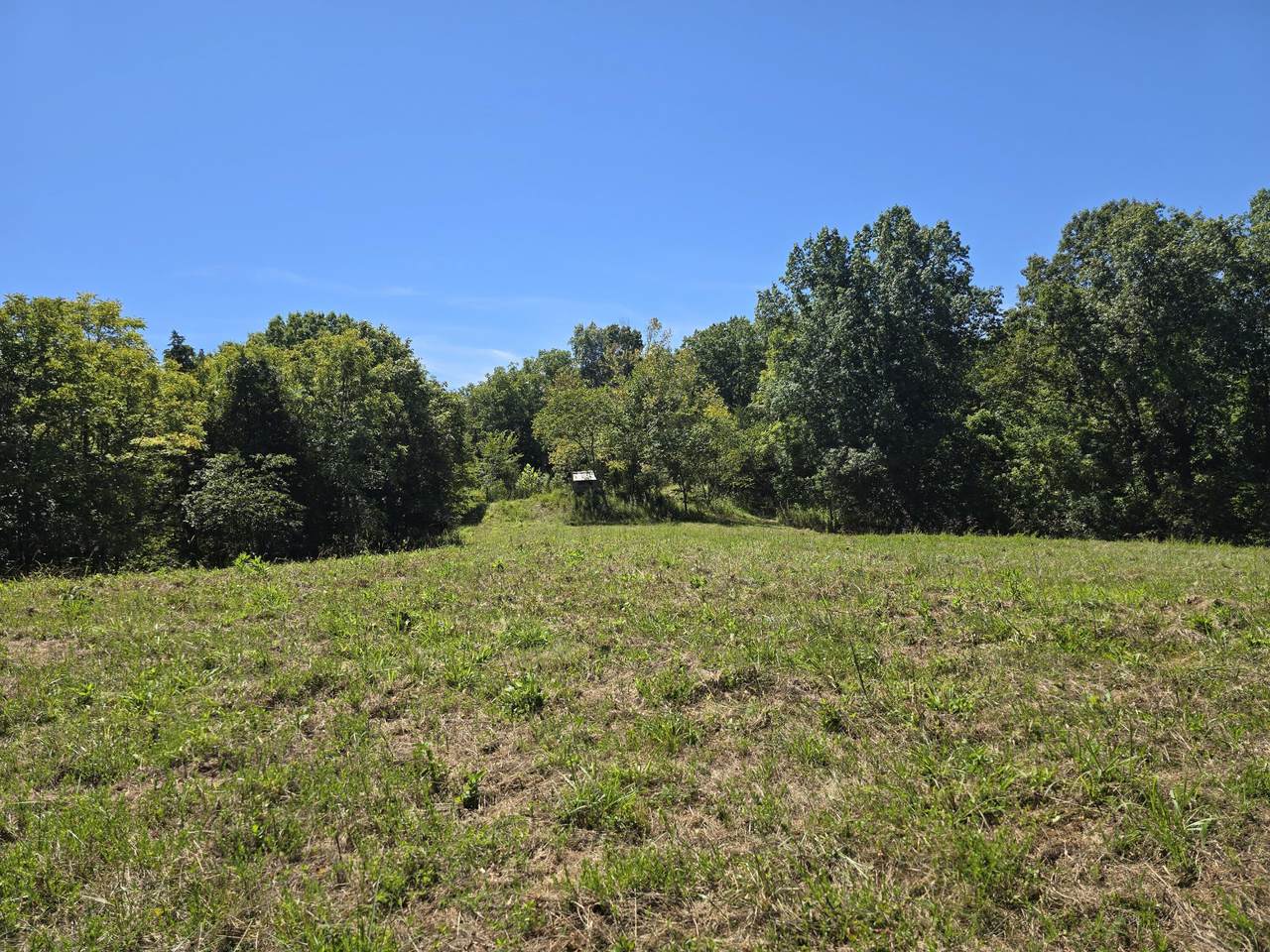 3201 Harp Pike - Photo 1