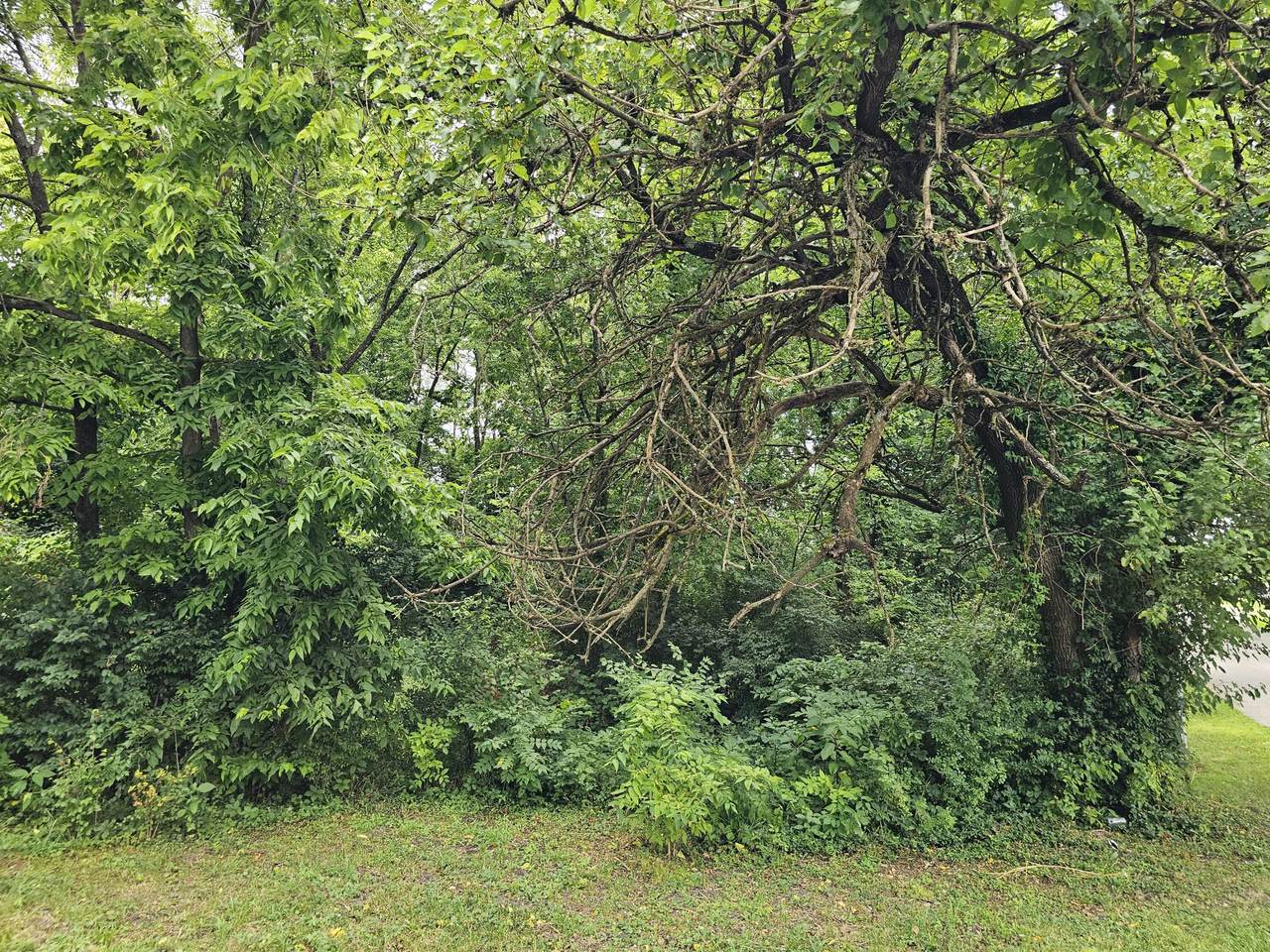 538 Lincoln Street - Photo 1