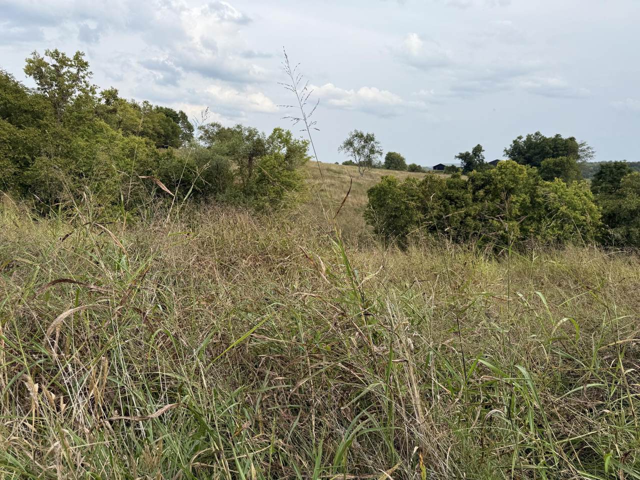 4252 Ky-36 - Photo 1