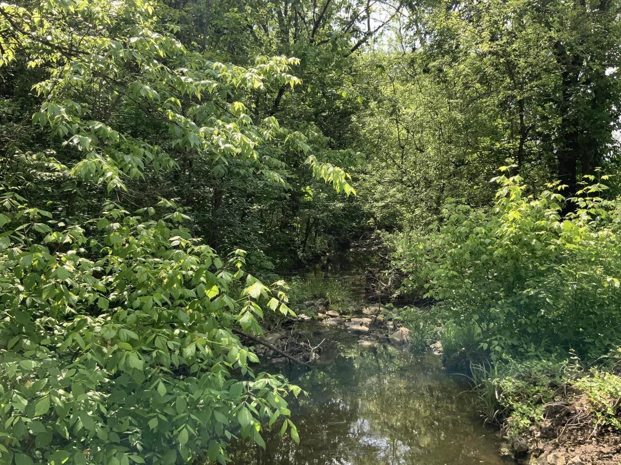 1012 Hungry Run Road - Photo 1